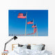 Washington Monument flags Wall Mural