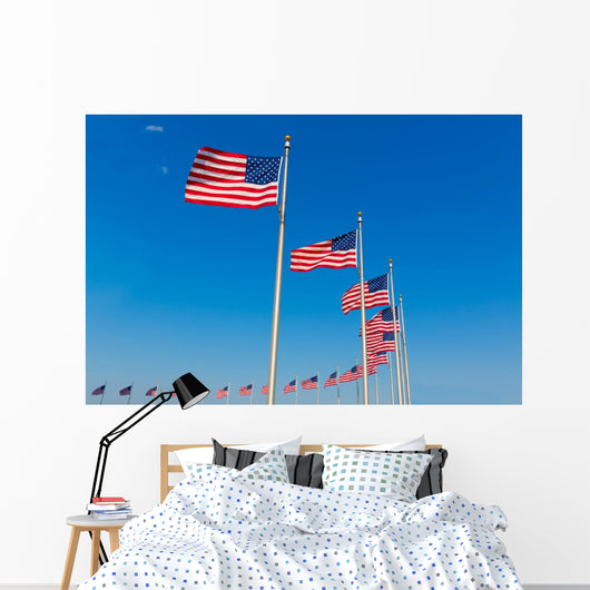 Washington Monument flags Wall Mural