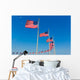 Washington Monument flags Wall Mural