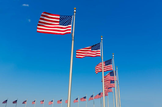 Washington Monument Flags Wall Decal