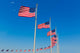 Washington Monument Flags Wall Decal