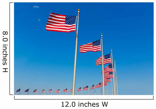 Washington Monument flags Wall Mural