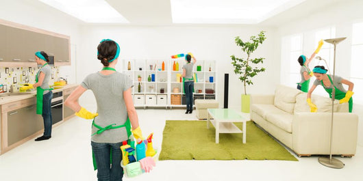 Spring Cleaning Wall Decal