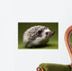 Hedgehog Wall Mural
