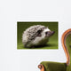 Hedgehog Wall Mural