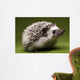 Hedgehog Wall Mural