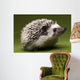 Hedgehog Wall Mural