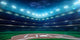 Professional Baseball Grand Arena In Night Wall Decal