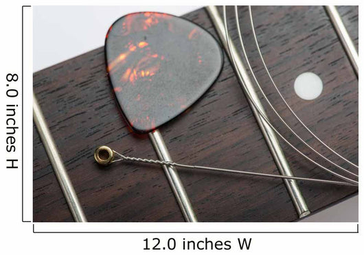 Guitar frets with string and mediator Wall Mural