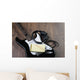Songwriters Electric guitar Wall Mural