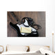 Songwriters Electric guitar Wall Mural