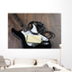 Songwriters Electric guitar Wall Mural