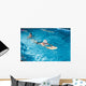 Activities on the pool young boy swimming fitness Wall Mural