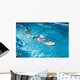 Activities on the pool young boy swimming fitness Wall Mural
