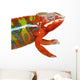 Chameleon Furcifer Pardalis Ambilobe Wall Decal