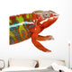 Chameleon Furcifer Pardalis Ambilobe Wall Decal