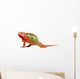 Red Green Chameleon Wall Decal