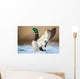 a wild duck Wall Mural