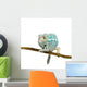Young Chameleon Furcifer Pardalis 3 Wall Decal
