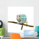 Young Chameleon Furcifer Pardalis 3 Wall Decal