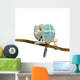 Young Chameleon Furcifer Pardalis 3 Wall Decal