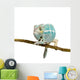 Young Chameleon Furcifer Pardalis 3 Wall Decal