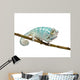 Young Chameleon Furcifer Pardalis 2 Wall Decal