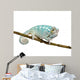 Young Chameleon Furcifer Pardalis 2 Wall Decal