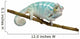 Young Chameleon Furcifer Pardalis 2 Wall Decal