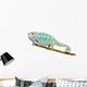 Young Chameleon Furcifer Pardalis - Nosy Be(7 months) Wall Decal