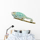 Young Chameleon Furcifer Pardalis - Nosy Be(7 months) Wall Decal