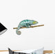 Chameleon Furcifer Pardalis Nosy Wall Decal