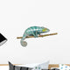 Chameleon Furcifer Pardalis Nosy Wall Decal