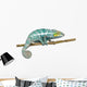 Chameleon Furcifer Pardalis Nosy Wall Decal
