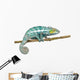 Chameleon Furcifer Pardalis Nosy Wall Decal
