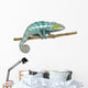 Chameleon Furcifer Pardalis Nosy Wall Decal