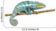 Chameleon Furcifer Pardalis Nosy Wall Decal