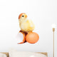 Cute Funny Easter Chick Wall Decal
