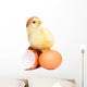Cute Funny Easter Chick Wall Decal