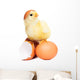 Cute Funny Easter Chick Wall Decal