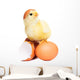 Cute Funny Easter Chick Wall Decal