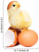 Cute Funny Easter Chick Wall Decal