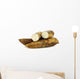 cassava root and some pieces on a white background Wall Decal