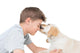 Puppy Licking Boy over Wall Decal