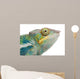 Young Chameleon Furcifer Pardalis Wall Decal
