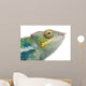 Young Chameleon Furcifer Pardalis Wall Decal