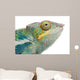 Young Chameleon Furcifer Pardalis Wall Decal