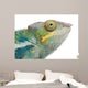 Young Chameleon Furcifer Pardalis Wall Decal