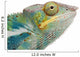 Young Chameleon Furcifer Pardalis Wall Decal