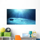 Underwater Sea Floor Wall Mural